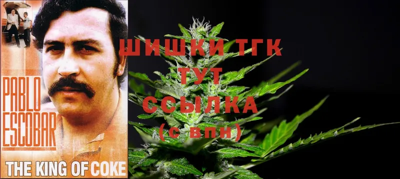 Конопля сатива  Миньяр 